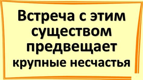 Знакомые события, которые он заранее предвещает