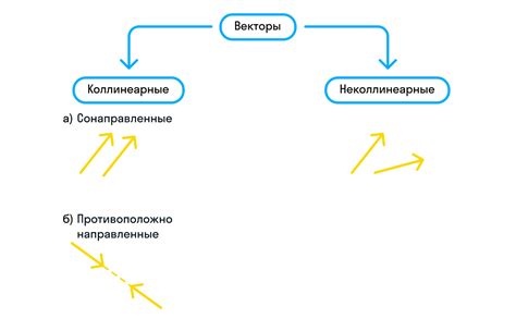 Знак вектор: понятие и особенности