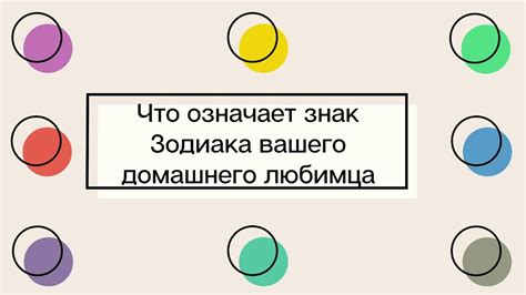 Знак домашнего уюта: что означает присутствие курицы в сновидении?