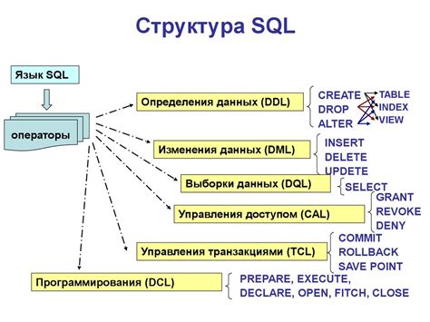 Знак присваивания в языке SQL: синтаксис и примеры запросов