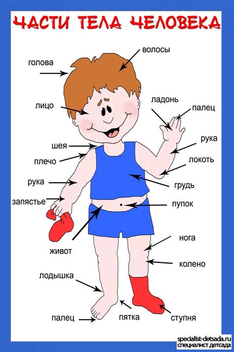 Знаменательные части тела и нитки: что они предсказывают?