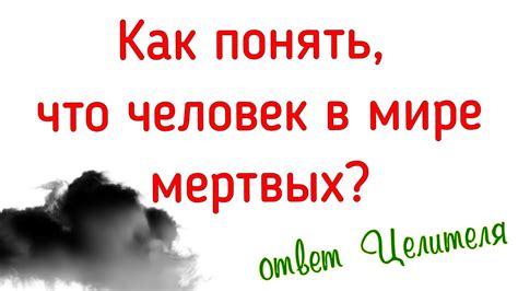 Знаменитость в мире мертвых: что можно узнать о ней?