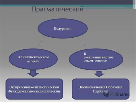 Значение "котакбаса" в лингвистическом аспекте