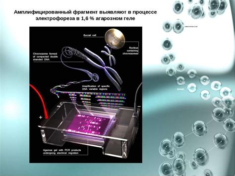 Значение ПЦР-положительного результата в диагностике у детей