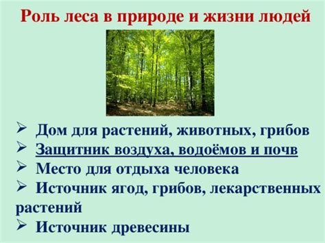 Значение Родины для природы