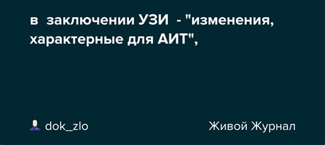 Значение УЗИ АИТ при заключении: основные выводы и рекомендации