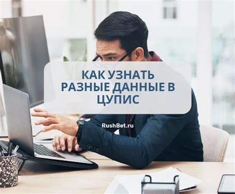 Значение Цупис в контексте IT-индустрии