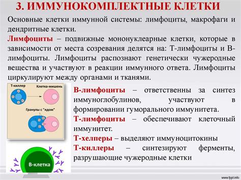 Значение активного иммунитета