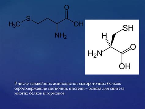 Значение альфа-аминокислот в питании