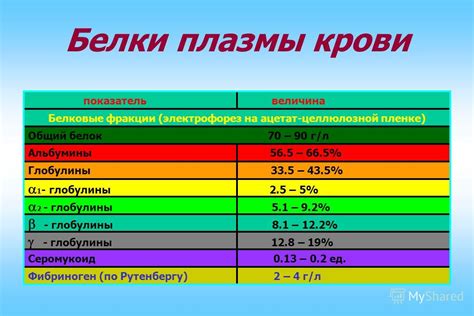 Значение белкового обмена для организма