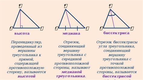 Значение биссектрисы в геометрии