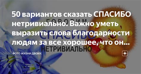 Значение благодарности в жизни