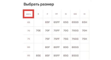 Значение букв в размерах бюстгальтеров