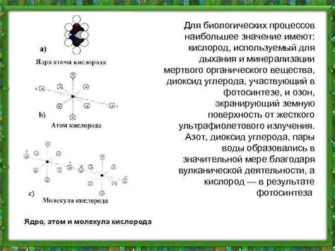 Значение валентности кислорода для биологических процессов