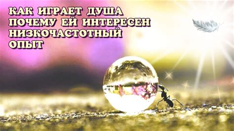 Значение взаимоотношений: почему душа играет роль?