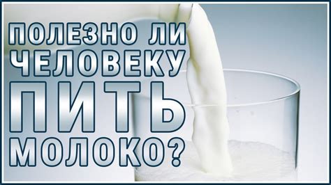 Значение включения молочных продуктов в рацион