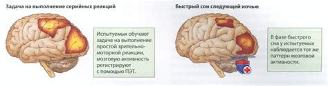 Значение воспоминаний и их сохранение в жизни