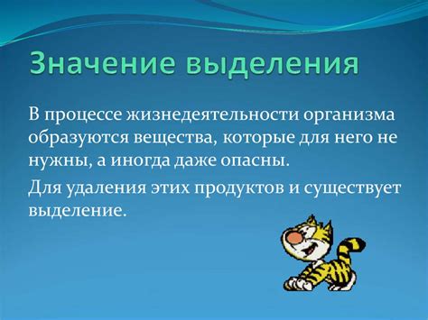 Значение выделения деталей