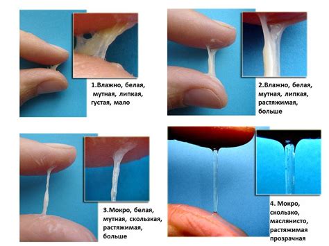Значение выделения прозрачной жидкости для мужчин и их партнеров