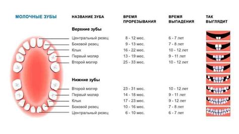 Значение выпадения зубов во время сновидения