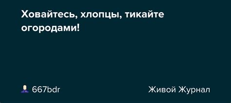 Значение выражения "Тикайте хлопцы" и его практическое применение