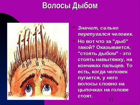 Значение выражения "волосы встали дыбом"