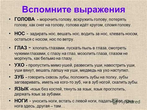 Значение выражения "сокрушался что это значит" и его интерпретация