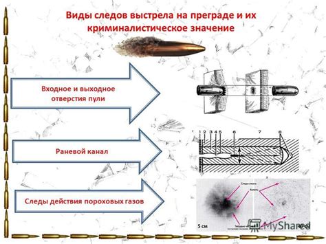 Значение выстрела в различных ситуациях