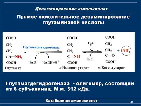 Значение глутаминовой кислоты для нервной системы ребенка