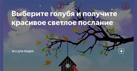 Значение голубя в церкви - сверхъестественное послание или совпадение?