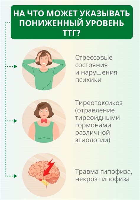 Значение гормона щитовидной железы и его роль в организме