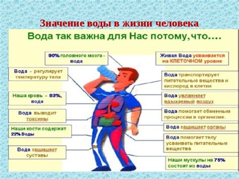 Значение горячей воды в нашей жизни