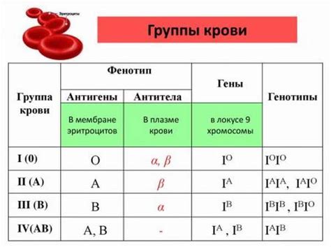 Значение группы крови для здоровья