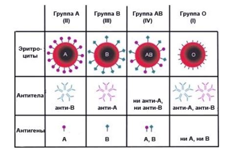 Значение группы крови на рукаве для пациентов и медицинского персонала