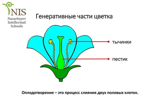 Значение двойного ведения