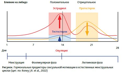 Значение желания женщины трепать забор