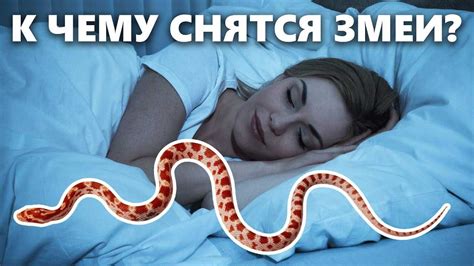 Значение желтой змеи во сне: загадочные символы ночного мира