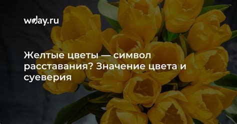 Значение желтых цветов