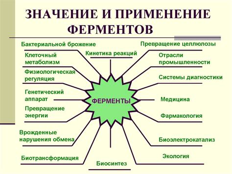 Значение индукции микросомальных ферментов в медицине