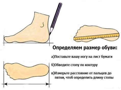 Значение и важность размера стопы