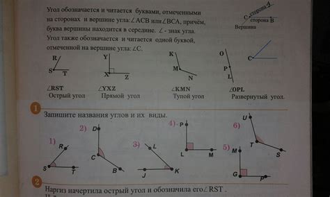 Значение и важность системы названия углов