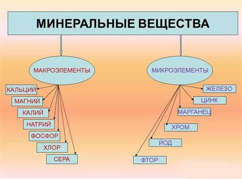 Значение и значение для организма осуществление мечты