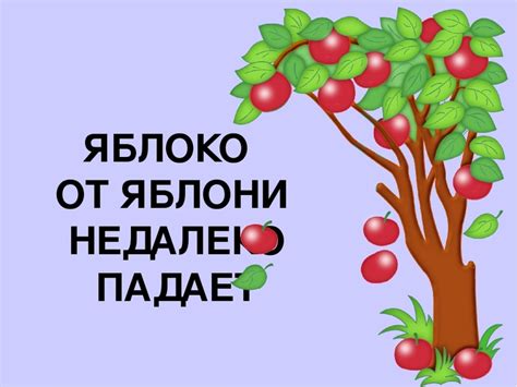 Значение и интерпретация поговорки "Яблоко от яблоньки недалеко падает"