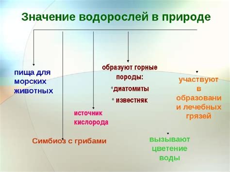 Значение и использование "поставить вале"