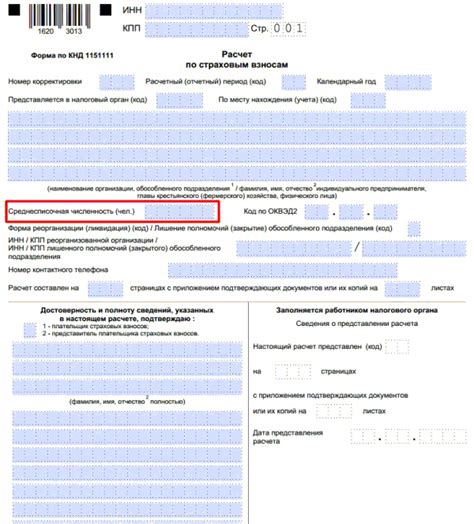 Значение и назначение РСВ-1