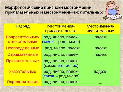 Значение и особенности использования местоимений прилагательных