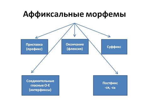 Значение и особенности корневых морфем в различных языках