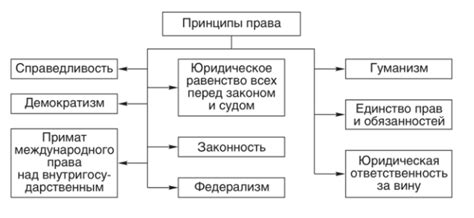 Значение и принципы права