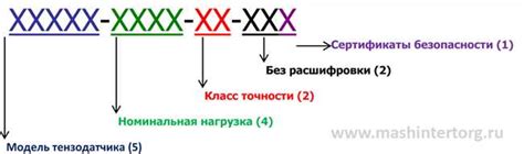 Значение и расшифровка слова "лох" в контексте аббревиатуры