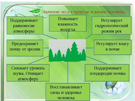 Значение и роль инвентарных лесов в экономике и экологии